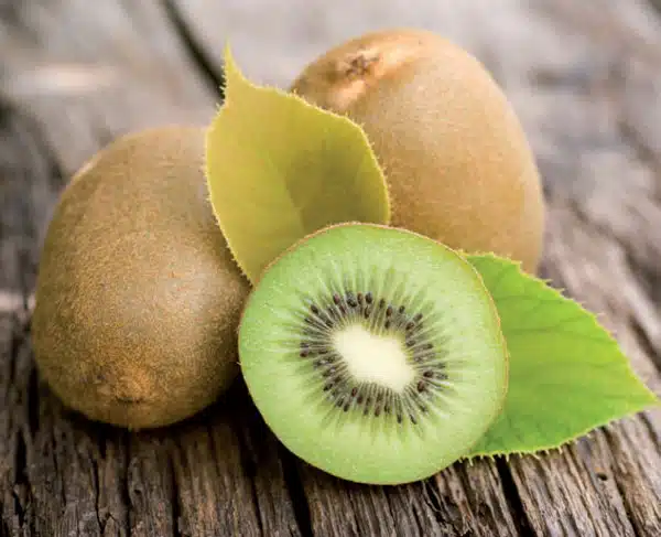 Comment ont-ils des kiwis dans son jardin ?